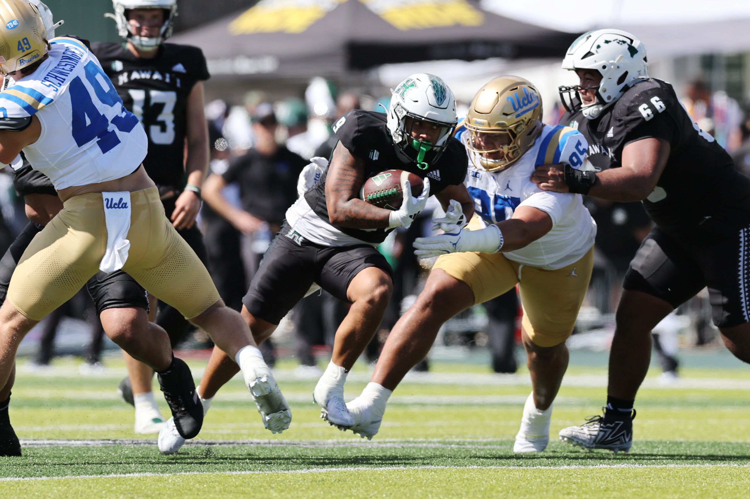 NCAA Football: UCLA Football at Hawaii