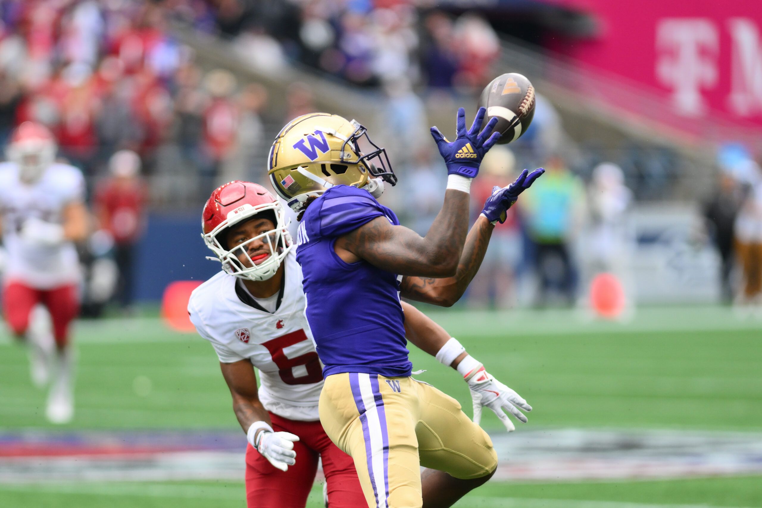 NCAA Football: Washington State at Washington