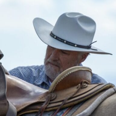 Profile photo of Steve