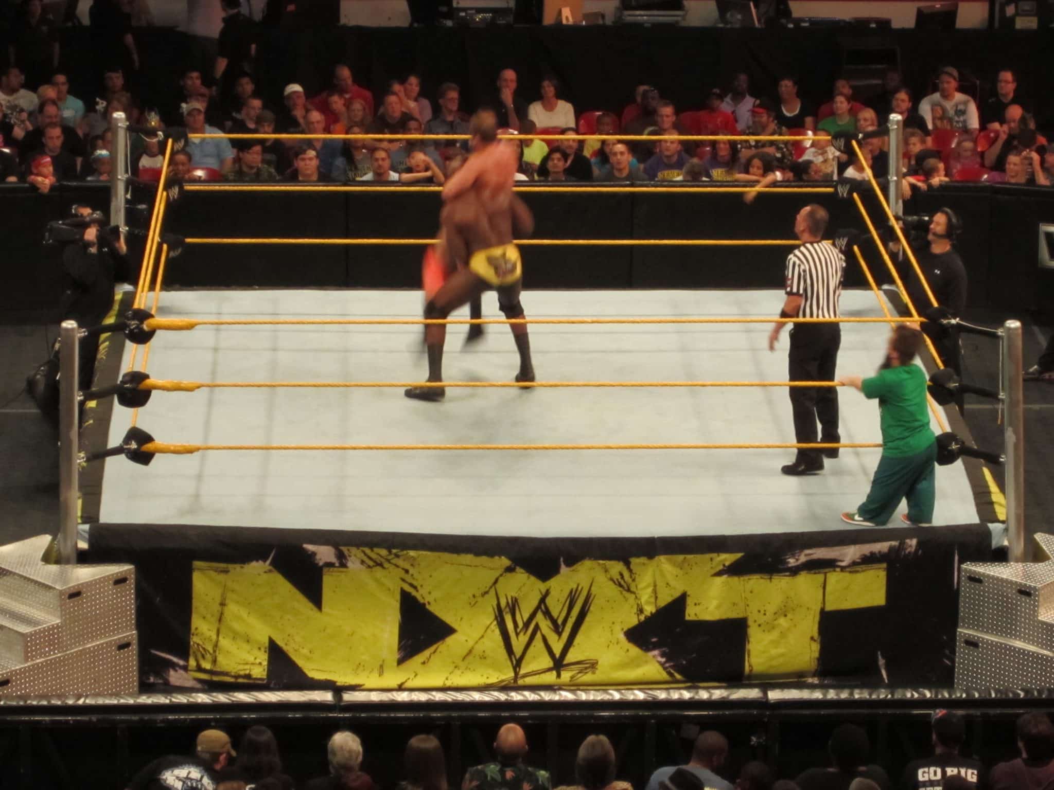 Let's Bring The Authors Of Pain To The Main Roster 2 NXT