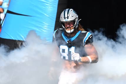 Carolina Panthers tight end Hayden Hurst