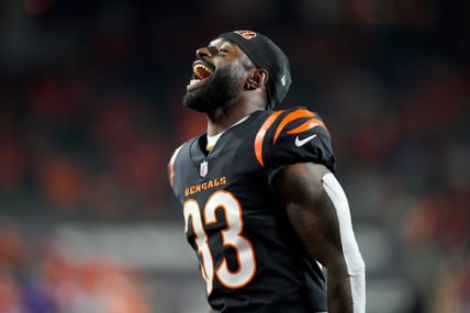 Former Los Angeles Rams Safety