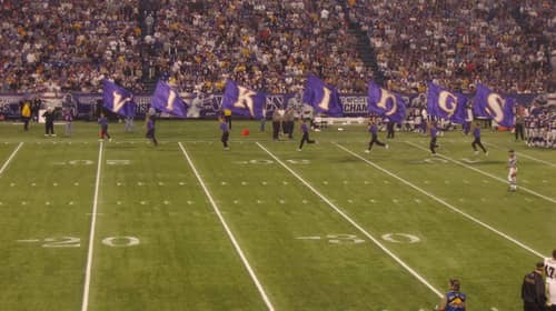 Minnesota Vikings