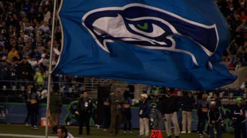 Seattle Seahawks Flag