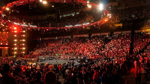NXT crowd