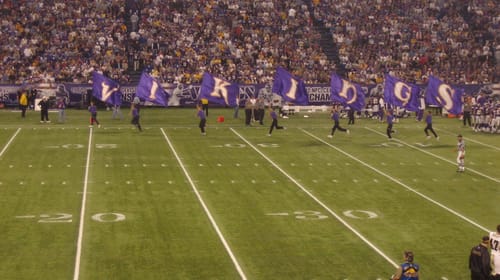 Minnesota Vikings
