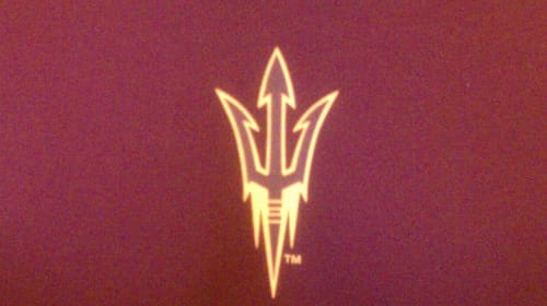 7955838698 4190d6bf1a b