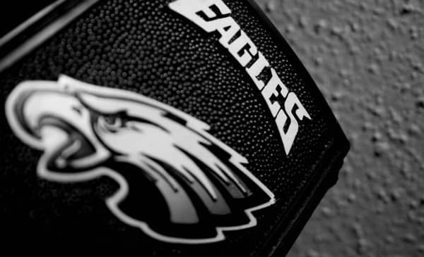 Eagles Logo and Wordmark