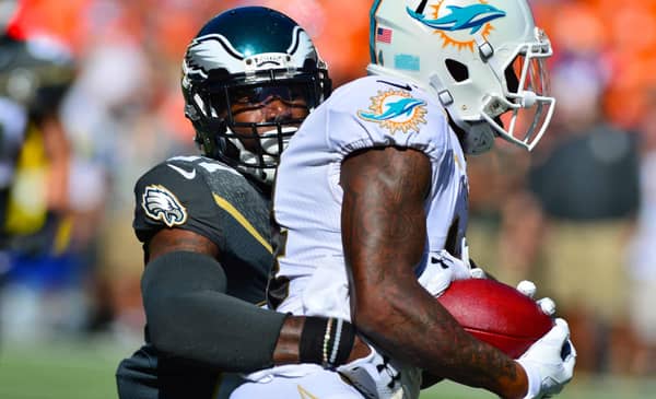 The Miami Dolphins Aren’t As Smart As Normal Dolphins 2 Miami Dolphins