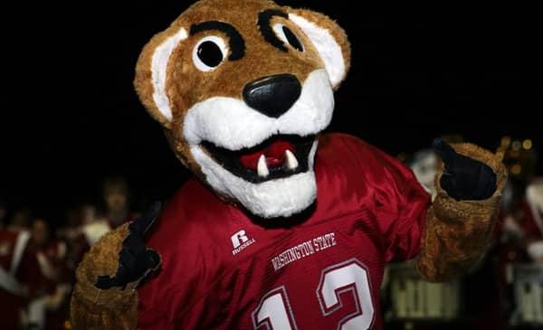 Washington State Cougars Game Day Grades – Week 6 2 Cougars Football