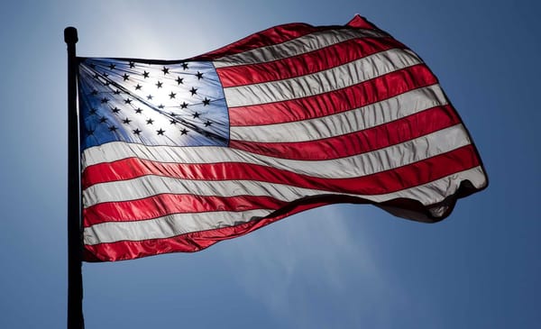 United States Flag Protestors Stand