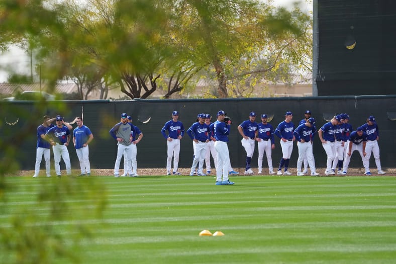 MLB: Los Angeles Dodgers-Workouts