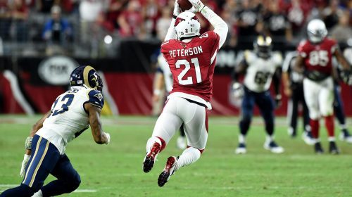 Patrick Peterson
