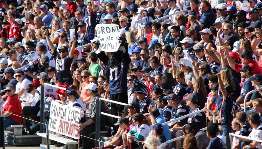 Patriots Training Camp