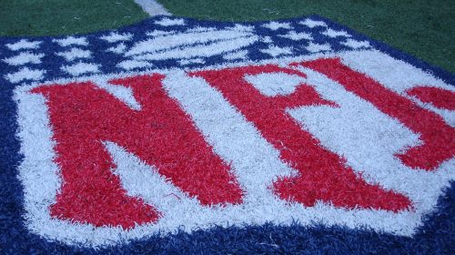 Mr. Irrelevent NFL Logo