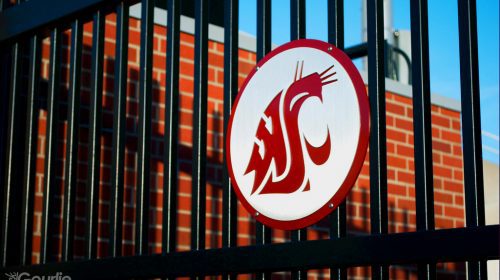 Cougars