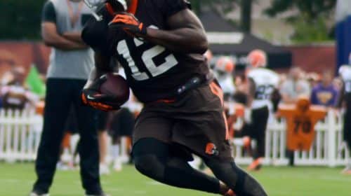 Josh Gordon