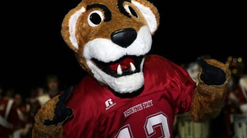 Cougars Football